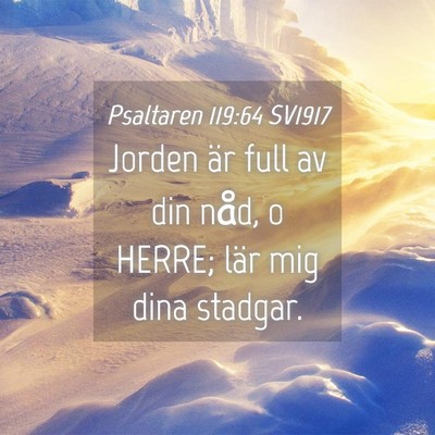 Picture 04 - Psaltaren 119:64 SV1917 - Jorden är full av din nåd, o HERRE; lär mig - Bible Verse Picture