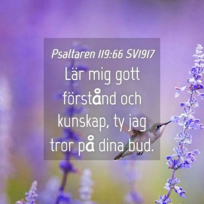 Picture 04 - Psaltaren 119:66 SV1917 - Lär mig gott förstånd och kunskap, ty jag tror - Bible Verse Picture