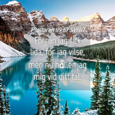 Picture 04 - Psaltaren 119:67 SV1917 - Förrän jag fick lida, for jag vilse, men nu - Bible Verse Picture