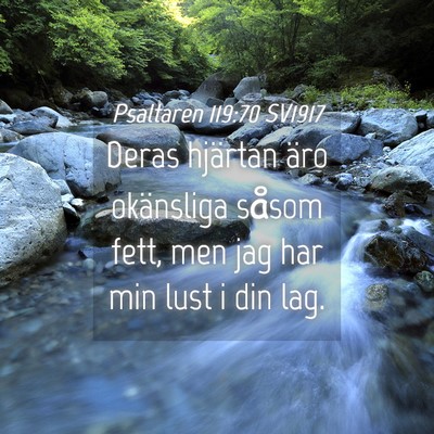 Picture 04 - Psaltaren 119:70 SV1917 - Deras hjärtan äro okänsliga såsom fett, men - Bible Verse Picture