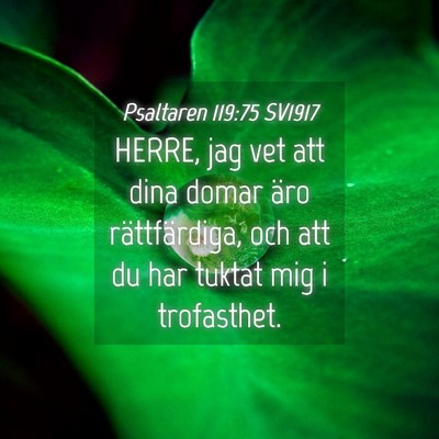 Picture 04 - Psaltaren 119:75 SV1917 - HERRE, jag vet att dina domar äro rättfärdiga, - Bible Verse Picture