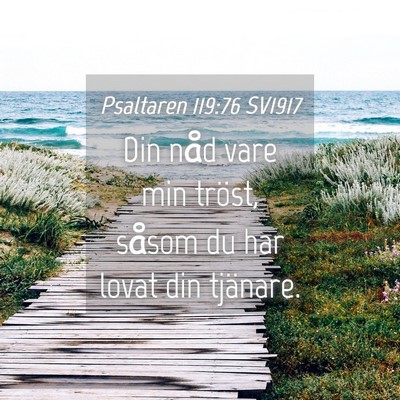 Picture 04 - Psaltaren 119:76 SV1917 - Din nåd vare min tröst, såsom du har lovat din - Bible Verse Picture