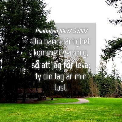 Picture 04 - Psaltaren 119:77 SV1917 - Din barmhärtighet komme över mig, så att jag - Bible Verse Picture