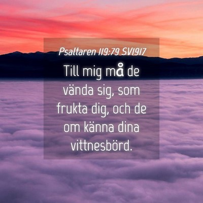 Picture 04 - Psaltaren 119:79 SV1917 - Till mig må de vända sig, som frukta dig, och - Bible Verse Picture