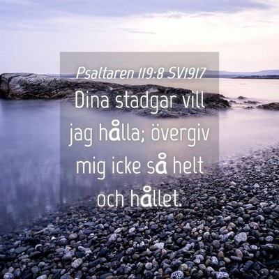 Picture 04 - Psaltaren 119:8 SV1917 - Dina stadgar vill jag hålla; övergiv mig icke - Bible Verse Picture