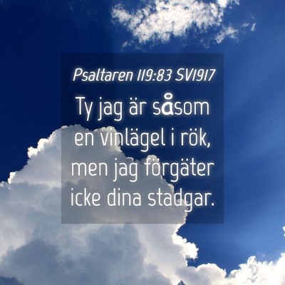 Picture 04 - Psaltaren 119:83 SV1917 - Ty jag är såsom en vinlägel i rök, men jag - Bible Verse Picture