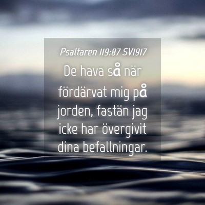 Picture 04 - Psaltaren 119:87 SV1917 - De hava så när fördärvat mig på jorden, - Bible Verse Picture