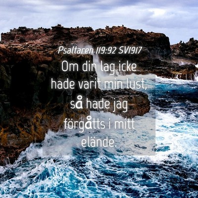 Picture 04 - Psaltaren 119:92 SV1917 - Om din lag icke hade varit min lust, så hade jag - Bible Verse Picture