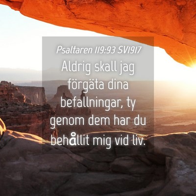 Picture 04 - Psaltaren 119:93 SV1917 - Aldrig skall jag förgäta dina befallningar, ty - Bible Verse Picture