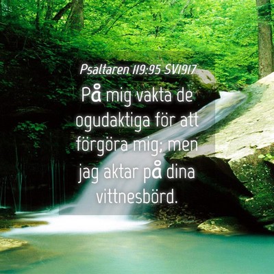 Picture 04 - Psaltaren 119:95 SV1917 - På mig vakta de ogudaktiga för att förgöra - Bible Verse Picture