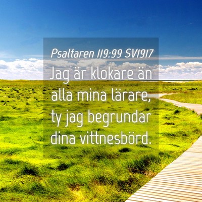 Picture 04 - Psaltaren 119:99 SV1917 - Jag är klokare än alla mina lärare, ty jag - Bible Verse Picture