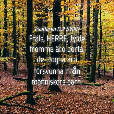 Picture 04 - Psaltaren 12:2 SV1917 - Fräls, HERRE; ty de fromma äro borta, de trogna - Bible Verse Picture