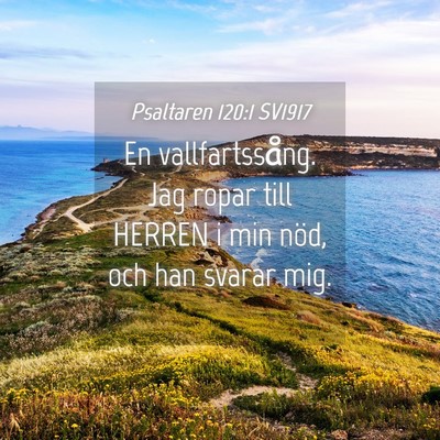 Picture 04 - Psaltaren 120:1 SV1917 - En vallfartssång. Jag ropar till HERREN i min - Bible Verse Picture