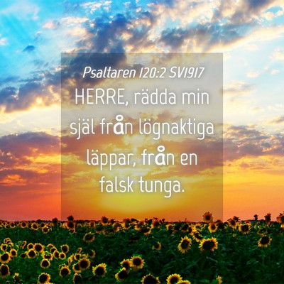 Picture 04 - Psaltaren 120:2 SV1917 - HERRE, rädda min själ från lögnaktiga - Bible Verse Picture