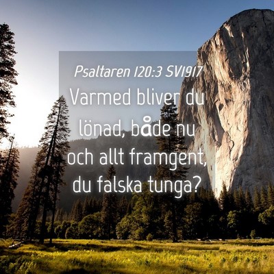 Picture 04 - Psaltaren 120:3 SV1917 - Varmed bliver du lönad, både nu och allt - Bible Verse Picture