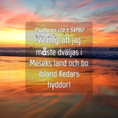 Picture 04 - Psaltaren 120:5 SV1917 - Ve mig, att jag måste dväljas i Meseks land och - Bible Verse Picture