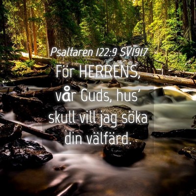Picture 04 - Psaltaren 122:9 SV1917 - För HERRENS, vår Guds, hus' skull vill jag - Bible Verse Picture