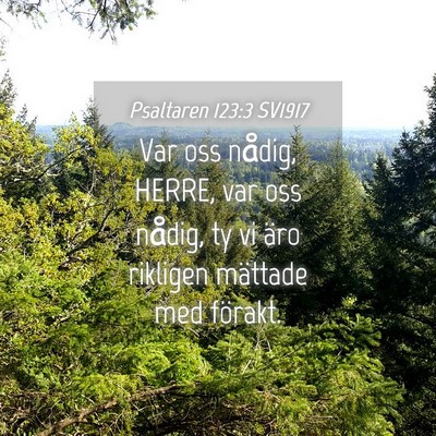 Picture 04 - Psaltaren 123:3 SV1917 - Var oss nådig, HERRE, var oss nådig, ty vi äro - Bible Verse Picture