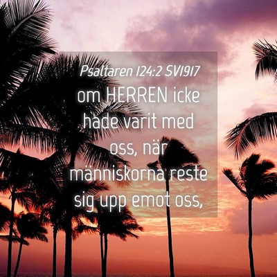 Picture 04 - Psaltaren 124:2 SV1917 - om HERREN icke hade varit med oss, när - Bible Verse Picture