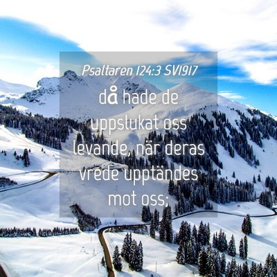 Picture 04 - Psaltaren 124:3 SV1917 - då hade de uppslukat oss levande, när deras - Bible Verse Picture