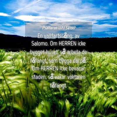 Picture 04 - Psaltaren 127:1 SV1917 - En vallfartssång; av Salomo. Om HERREN icke - Bible Verse Picture