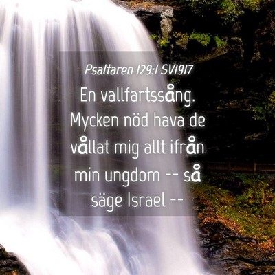Picture 04 - Psaltaren 129:1 SV1917 - En vallfartssång. Mycken nöd hava de vållat - Bible Verse Picture