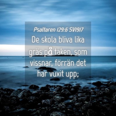 Picture 04 - Psaltaren 129:6 SV1917 - De skola bliva lika gräs på taken, som vissnar, - Bible Verse Picture