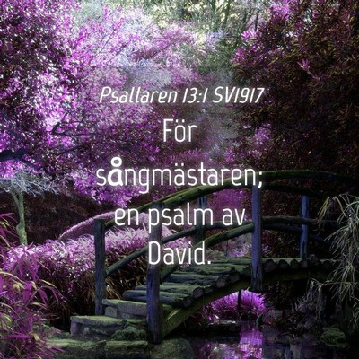 Picture 04 - Psaltaren 13:1 SV1917 - För sångmästaren; en psalm av - Bible Verse Picture