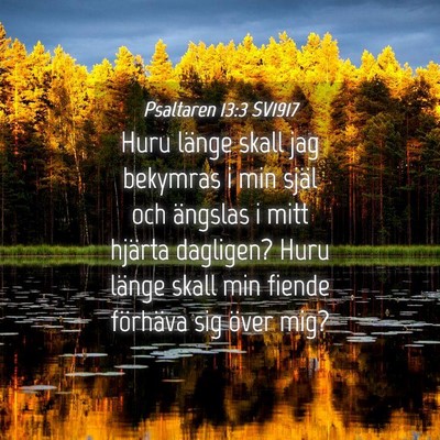 Picture 04 - Psaltaren 13:3 SV1917 - Huru länge skall jag bekymras i min själ och - Bible Verse Picture