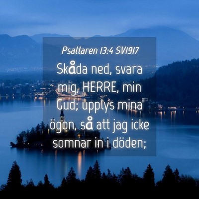 Picture 04 - Psaltaren 13:4 SV1917 - Skåda ned, svara mig, HERRE, min Gud; upplys - Bible Verse Picture