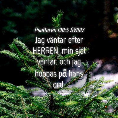 Picture 04 - Psaltaren 130:5 SV1917 - Jag väntar efter HERREN, min själ väntar, och - Bible Verse Picture