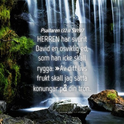 Picture 04 - Psaltaren 132:11 SV1917 - HERREN har svurit David en osviklig ed, som han - Bible Verse Picture