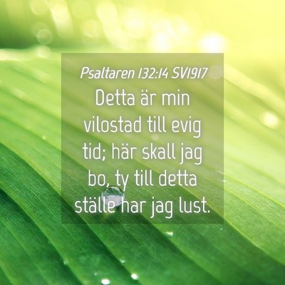 Picture 04 - Psaltaren 132:14 SV1917 - Detta är min vilostad till evig tid; här skall - Bible Verse Picture