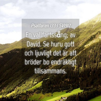 Picture 04 - Psaltaren 133:1 SV1917 - En vallfartssång; av David. Se huru gott och - Bible Verse Picture