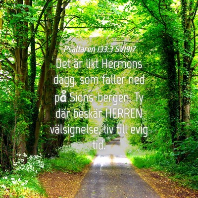 Picture 04 - Psaltaren 133:3 SV1917 - Det är likt Hermons dagg, som faller ned på - Bible Verse Picture