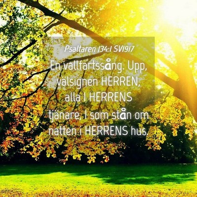 Picture 04 - Psaltaren 134:1 SV1917 - En vallfartssång. Upp, välsignen HERREN, alla I - Bible Verse Picture
