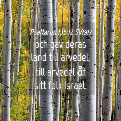 Picture 04 - Psaltaren 135:12 SV1917 - och gav deras land till arvedel, till arvedel åt - Bible Verse Picture