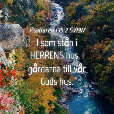Picture 04 - Psaltaren 135:2 SV1917 - I som stån i HERRENS hus, i gårdarna till vår - Bible Verse Picture