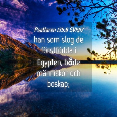Picture 04 - Psaltaren 135:8 SV1917 - han som slog de förstfödda i Egypten, både - Bible Verse Picture