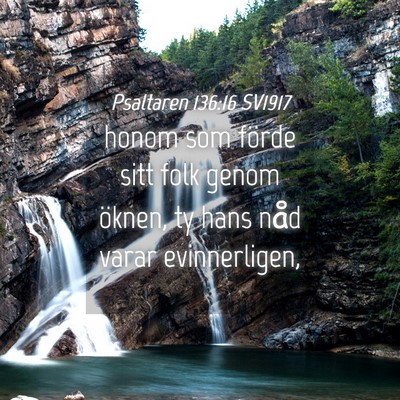 Picture 04 - Psaltaren 136:16 SV1917 - honom som förde sitt folk genom öknen, ty hans - Bible Verse Picture