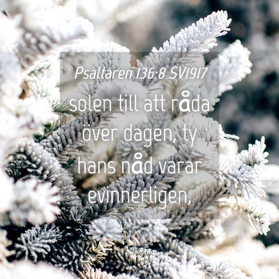Picture 04 - Psaltaren 136:8 SV1917 - solen till att råda över dagen, ty hans nåd - Bible Verse Picture