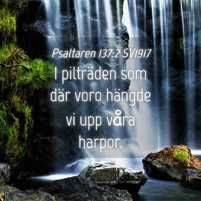 Picture 04 - Psaltaren 137:2 SV1917 - I pilträden som där voro hängde vi upp våra - Bible Verse Picture
