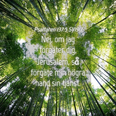 Picture 04 - Psaltaren 137:5 SV1917 - Nej, om jag förgäter dig, Jerusalem, så - Bible Verse Picture
