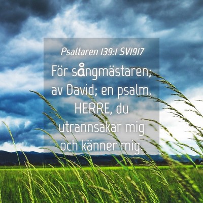 Picture 04 - Psaltaren 139:1 SV1917 - För sångmästaren; av David; en psalm. HERRE, - Bible Verse Picture