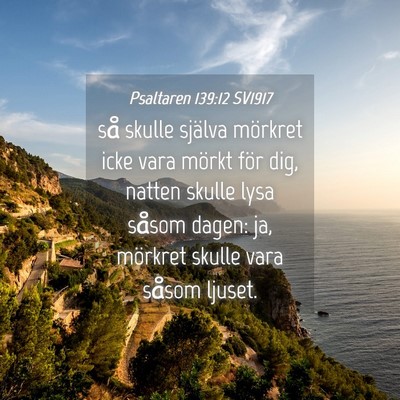 Picture 04 - Psaltaren 139:12 SV1917 - så skulle själva mörkret icke vara mörkt för - Bible Verse Picture