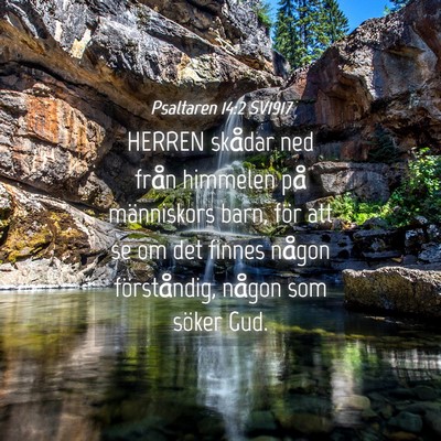 Picture 04 - Psaltaren 14:2 SV1917 - HERREN skådar ned från himmelen på människors - Bible Verse Picture