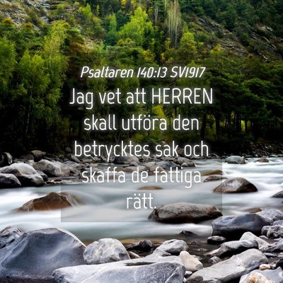 Picture 04 - Psaltaren 140:13 SV1917 - Jag vet att HERREN skall utföra den betrycktes - Bible Verse Picture