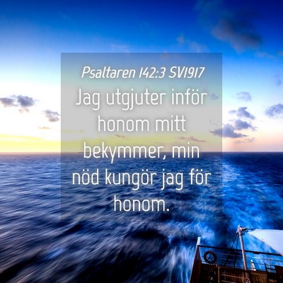 Picture 04 - Psaltaren 142:3 SV1917 - Jag utgjuter inför honom mitt bekymmer, min nöd - Bible Verse Picture