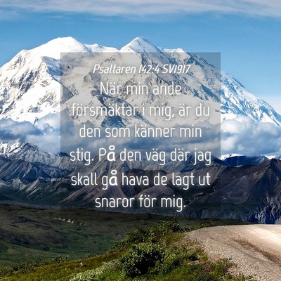 Picture 04 - Psaltaren 142:4 SV1917 - När min ande försmäktar i mig, är du den som - Bible Verse Picture