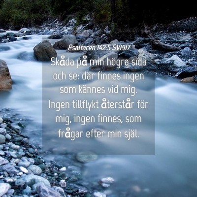 Picture 04 - Psaltaren 142:5 SV1917 - Skåda på min högra sida och se: där finnes - Bible Verse Picture